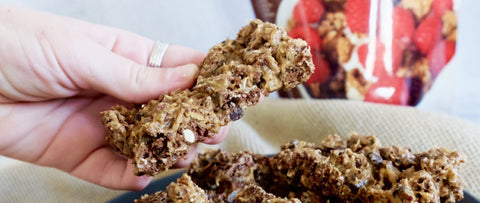 Chocolate ProGranola Granola Bars Recipe - Julian Bakery