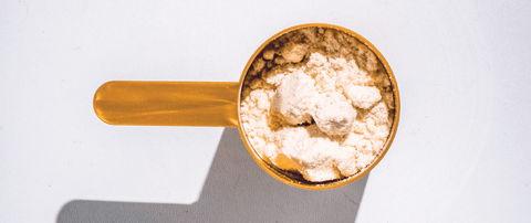 Why Protein Is Fundamental - Julian Bakery