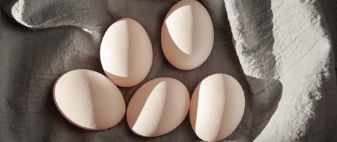 Why Egg White Protein Powder Is So Good for You - Julian Bakery
