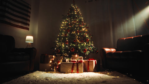 Holiday Shipping Update