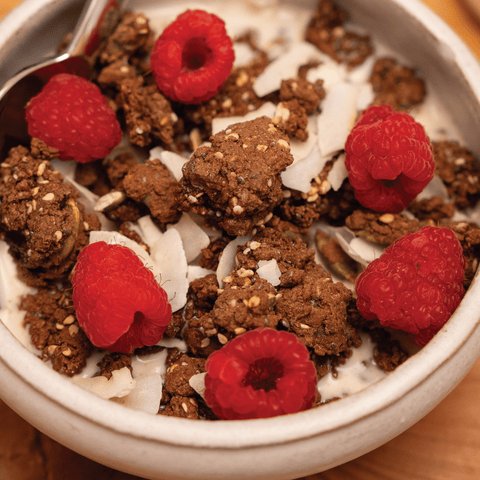 ProGranola® Chocolate Cluster - Julian Bakery